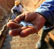 El mercurio es el principal químico para lograr el mayor aprovechamiento del oro. Es usado pese a la prohibición para su comercialización desde 2013. FOTO: MANUEL SALDARRIAGA