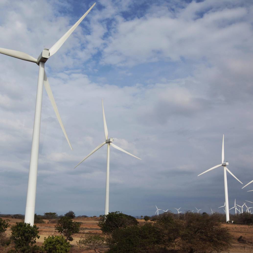 La demanda, registrada el 10 de diciembre de 2025, está relacionada con el fracaso de sus proyectos eólicos Alpha y Beta en La Guajira. Foto: Colprensa