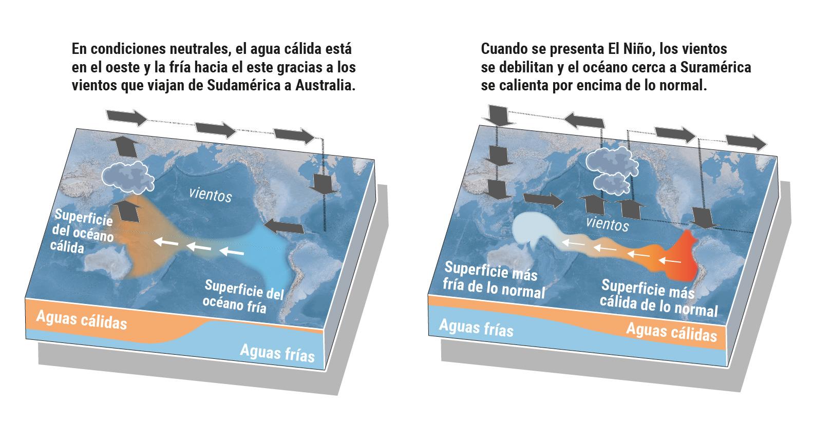 InfogrÃ¡fico