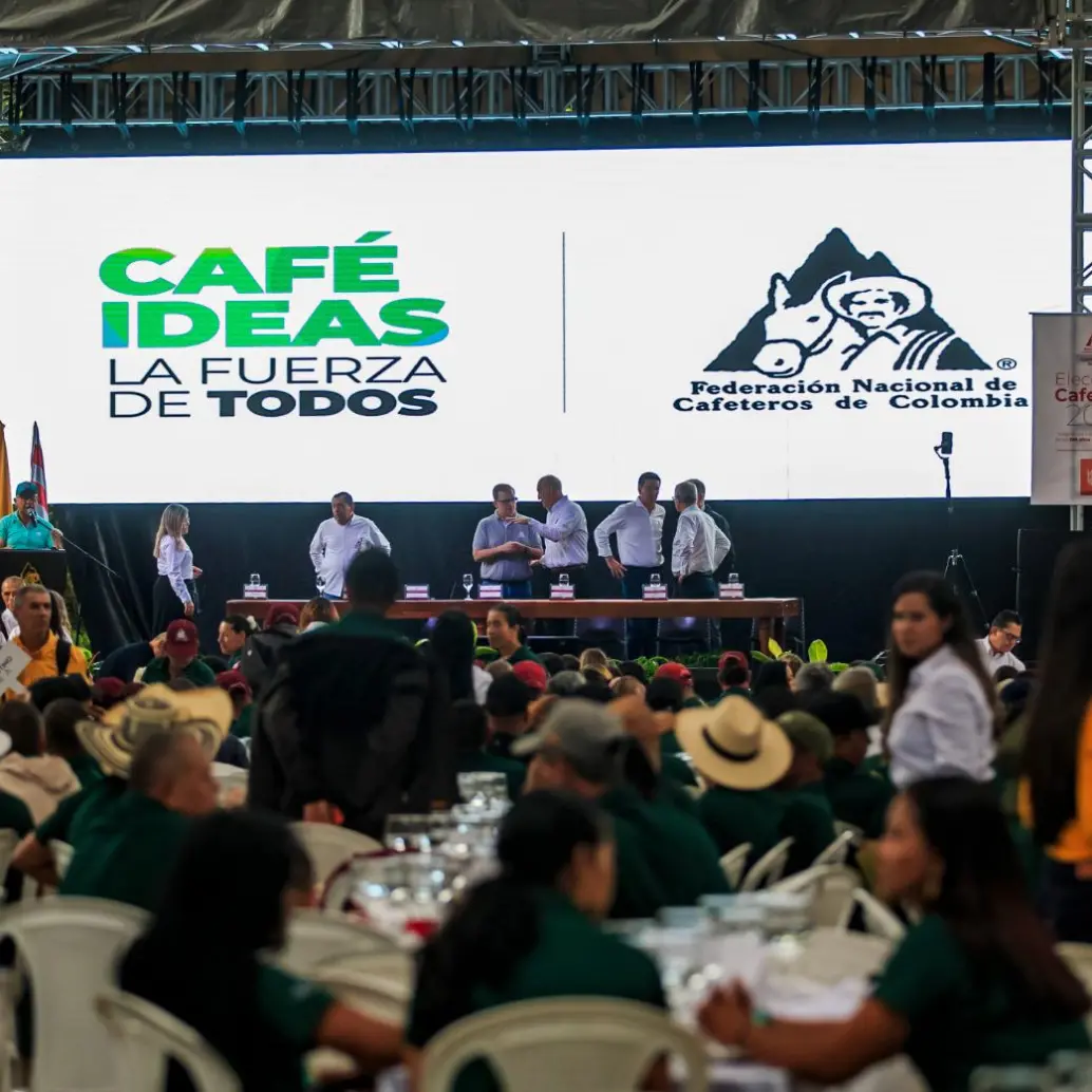 En el evento, la Federación Nacional de Cafeteros destacó el impacto de la renovación responsable, la asistencia técnica profesional y una condición climática que acompañó el proceso productivo. FOTO: Camilo Suárez