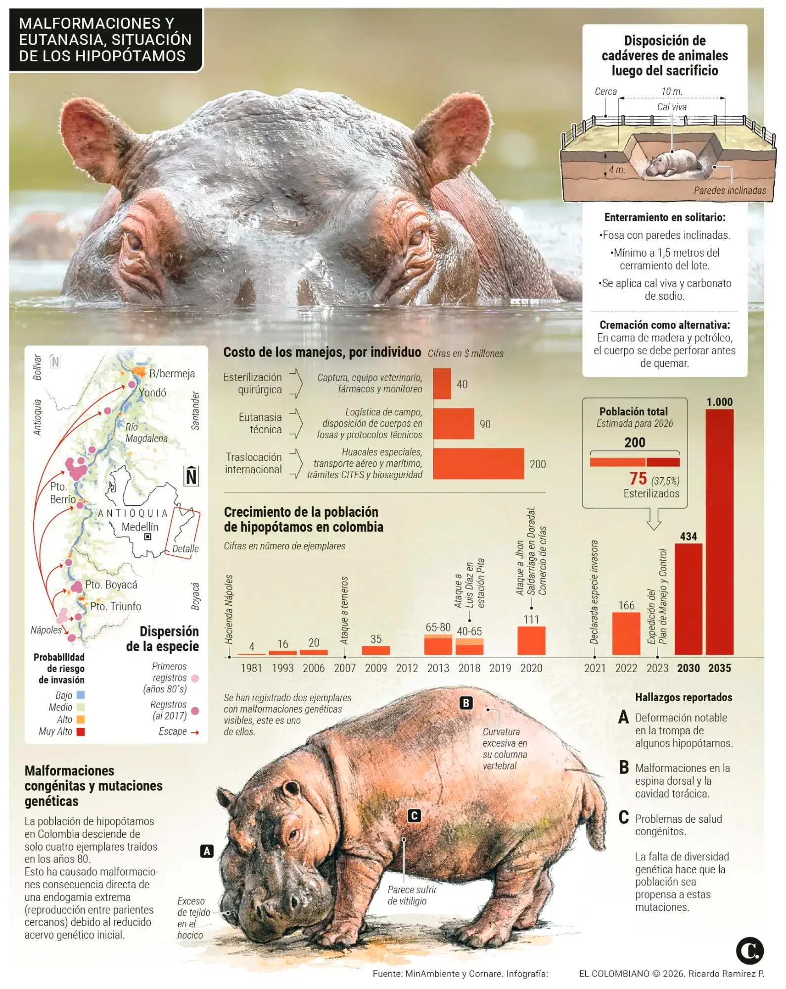 InfogrÃ¡fico
