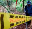 La petición es que se desplace personal especializado a hacer un diagnóstico y capacitar a la comunidad para prevenir. FOTO: JULIO CÉSAR HERRERA