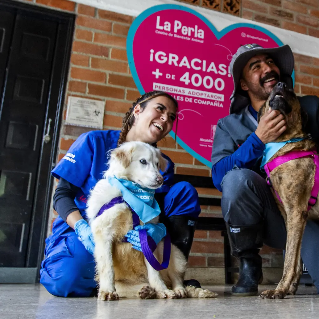 Descripción: Centro de Bienestar Animal La Perla en Belén Altavista. Personajes: . Fecha de evento: 28/o3/2024 Foto: Julio César Herrera Echeverri