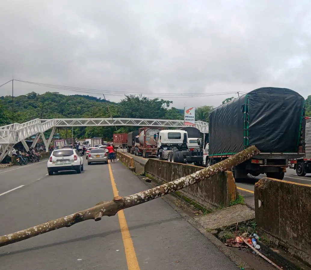 Camiones de carga enfrentan demoras de hasta ocho horas en el corredor vial hacia Buenaventura por bloqueos y congestión. FOTO COLFECAR.