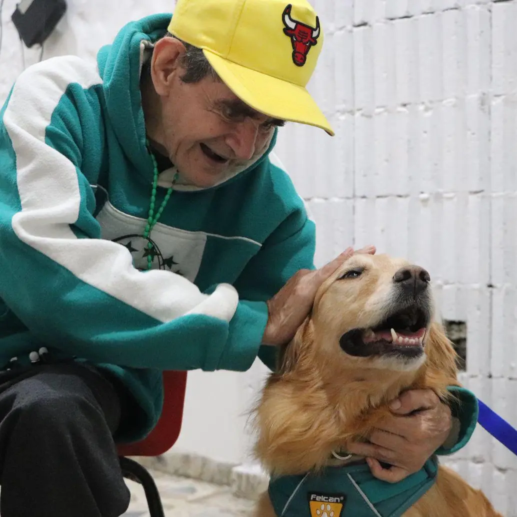 Uno de los perros que estuvo presente en el hogar geriátrico San Cristóbal. FOTO: Cortesía