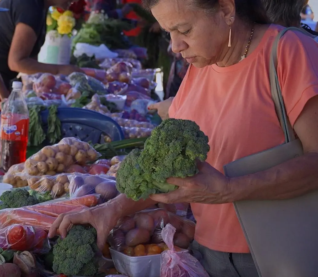 Los mercados campesinos buscan conectar a los productores y a los consumidores locales de los municipios con precios justos y alimentos saludables. FOTO: ALCALDÍA DE ENVIGADO