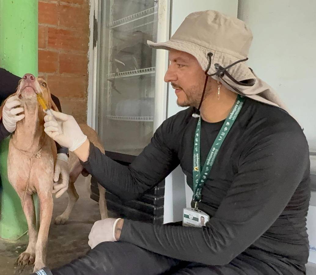 Los animales están recibiendo una valoración clínica y se les ha suministrado medicamentos. Hasta cinco animales están siendo abandonados en Urabá por las lluvias. FOTO: Cortesía Gobernación de Antioquia