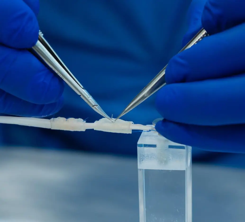 El neurotubo bioabsorbible busca reemplazar los injertos en lesiones de nervios periféricos. FOTO cortesía Ruta n