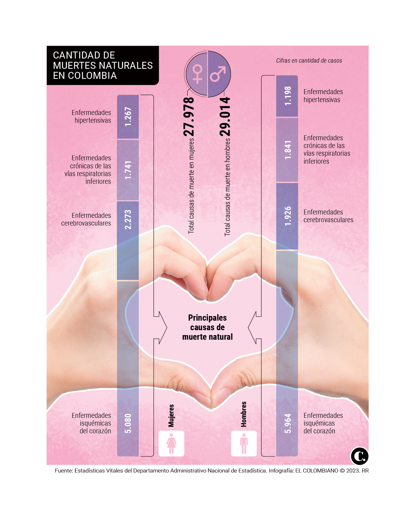 InfogrÃ¡fico