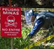 Anorí hace parte de los municipios más afectados por la presencia de minas antipersonal en Antioquia. FOTO: El Colombiano