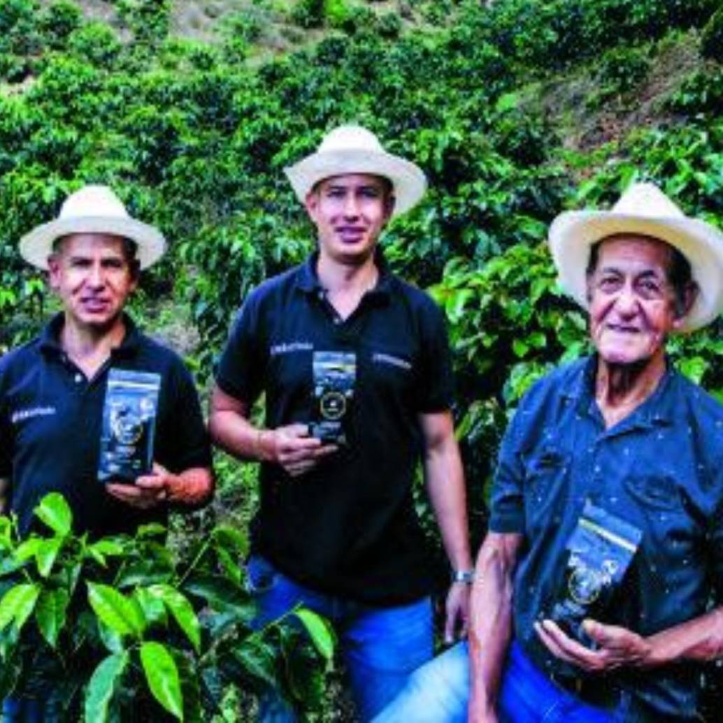 En la finca de Comunidad, practican la agricultura regenerativa y siembran variedades de café como la Catuaí, la Geisha o el Borbón Rosado. FOTO JULIO CÉSAR HERRERA