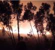Hay alerta en Tolima por los incendios que ya tienen afectadas más de 11.000 hectáreas. FOTO: Colprensa