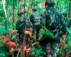 Rescatistas continúan con la fe intacta en la búsqueda de los cuatro menores perdidos en la selva del Guaviare. FOTO: Cortesía. 