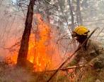Fueron cuatro días en el que los bomberos tuvieron que sofocar las llamas en el cerro Quitasol la semana pasada. FOTO: CORTESÍA DAGRAN