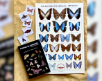 Esta es la guía junto con el afiche de mariposas y polillas que venden en Lepidoptera Colombiana. FOTO: Cortesía @Lepidopteracolombiana
