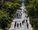 Si se llevas mascotas ala ciclovia, hacerlo con correa y circular con ella a pie. Foto: Manuel Saldarriaga Quintero