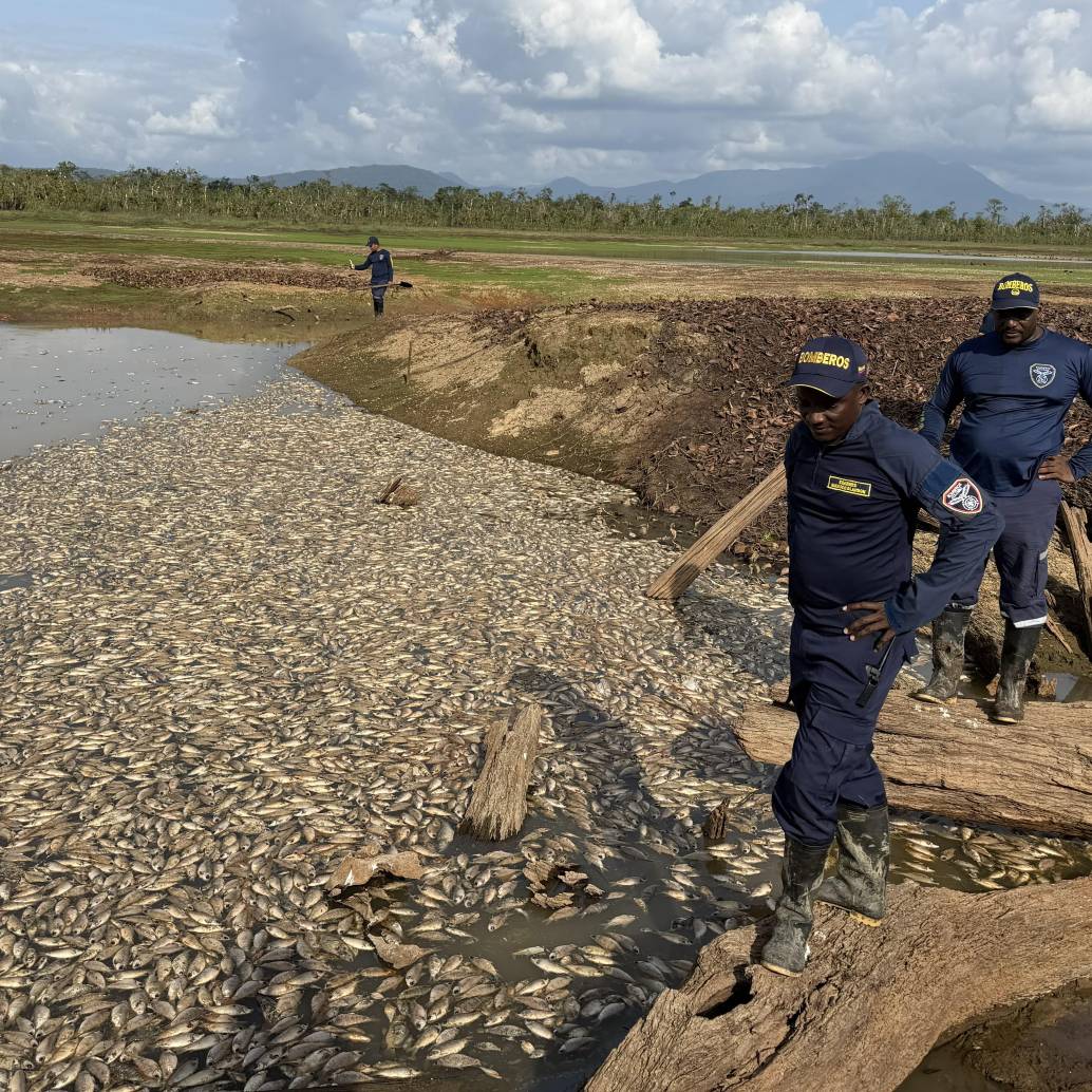 Así se ve hoy parte de la ciénaga Remacho afectada por la mortandad de peces. FOTO: Cortesía