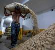 Gobierno y Federación de Cafeteros prorrogaron por cinco meses la administración del Fondo Nacional del Café. FOTO Julio César Herrera
