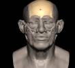 La ascendencia del hombre se remonta a Medio Oriente, la primera evidencia antropológica de migración hacia el creciente imperio desde el Este. FOTO Liverpool John Moores University