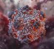 El hantavirus es transmitido principalmente por contacto con excrementos, orina o saliva de roedores infectados. FOTO AFP