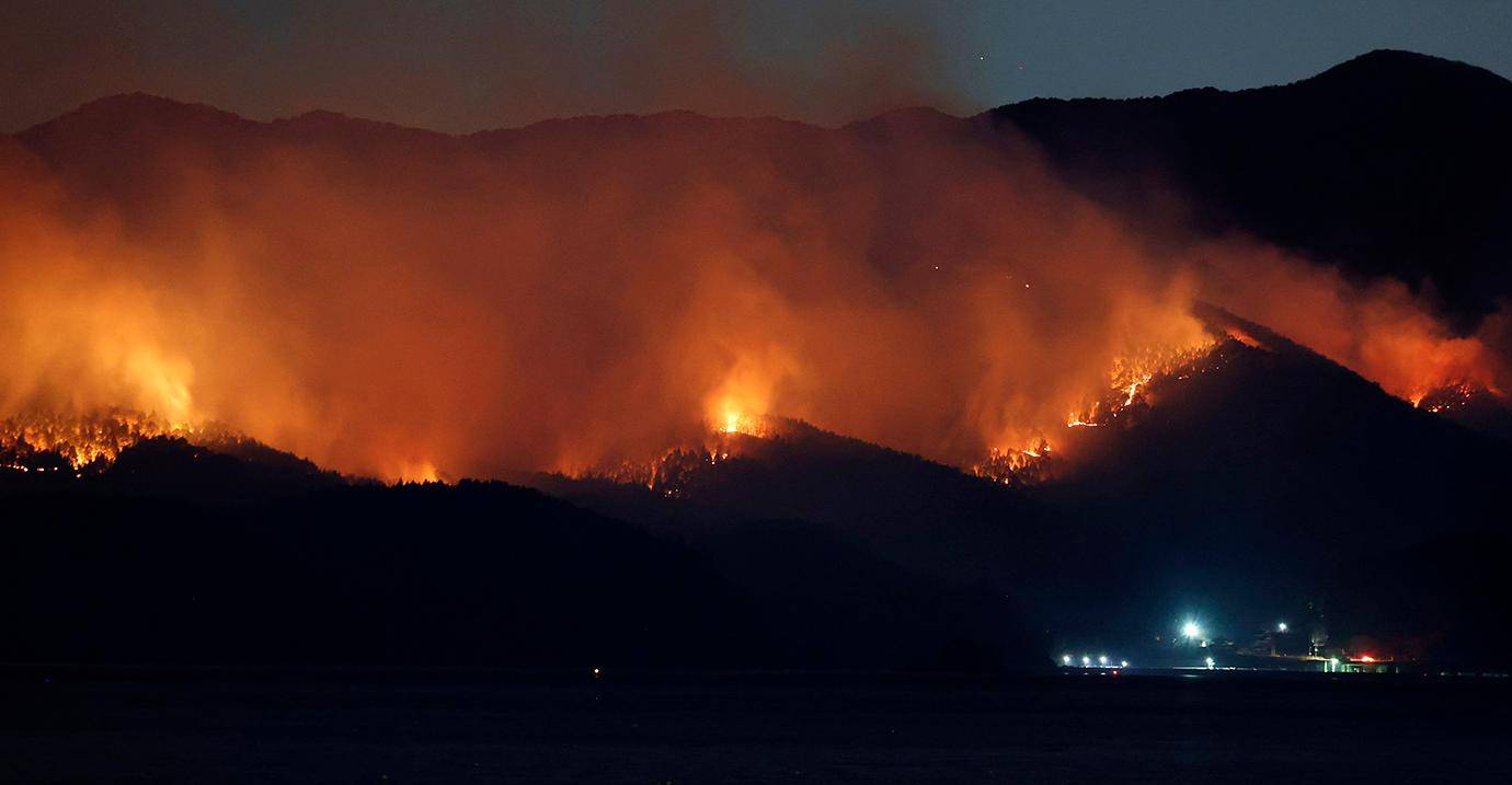 Por séptimo día consecutivo, las llamas han avanzado hacia un denso bosque y han alcanzado las inmediaciones de algunos distritos cercanos a la ciudad de Sanriku. Foto: AFP