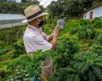 La plataforma cuenta con un ticket promedio de US$1,3 millones en fincas, US$12.000 en animales, más de 3.000 usuarios registrados y 40.000 seguidores en redes sociales. FOTO juan Antonio Sánchez