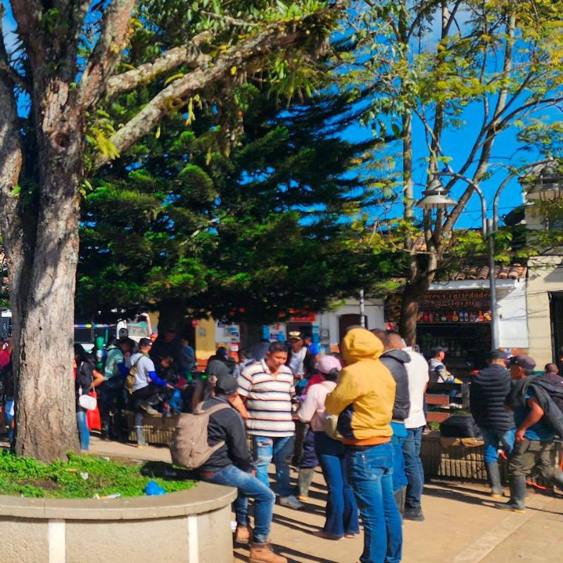 Los campesinos del Cañón del Micay esperan entablar conversaciones con el Gobierno. FOTO CORTESÍA CAUCA AL DÍA 