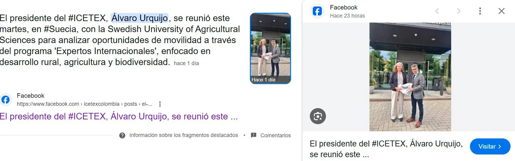 InfogrÃ¡fico