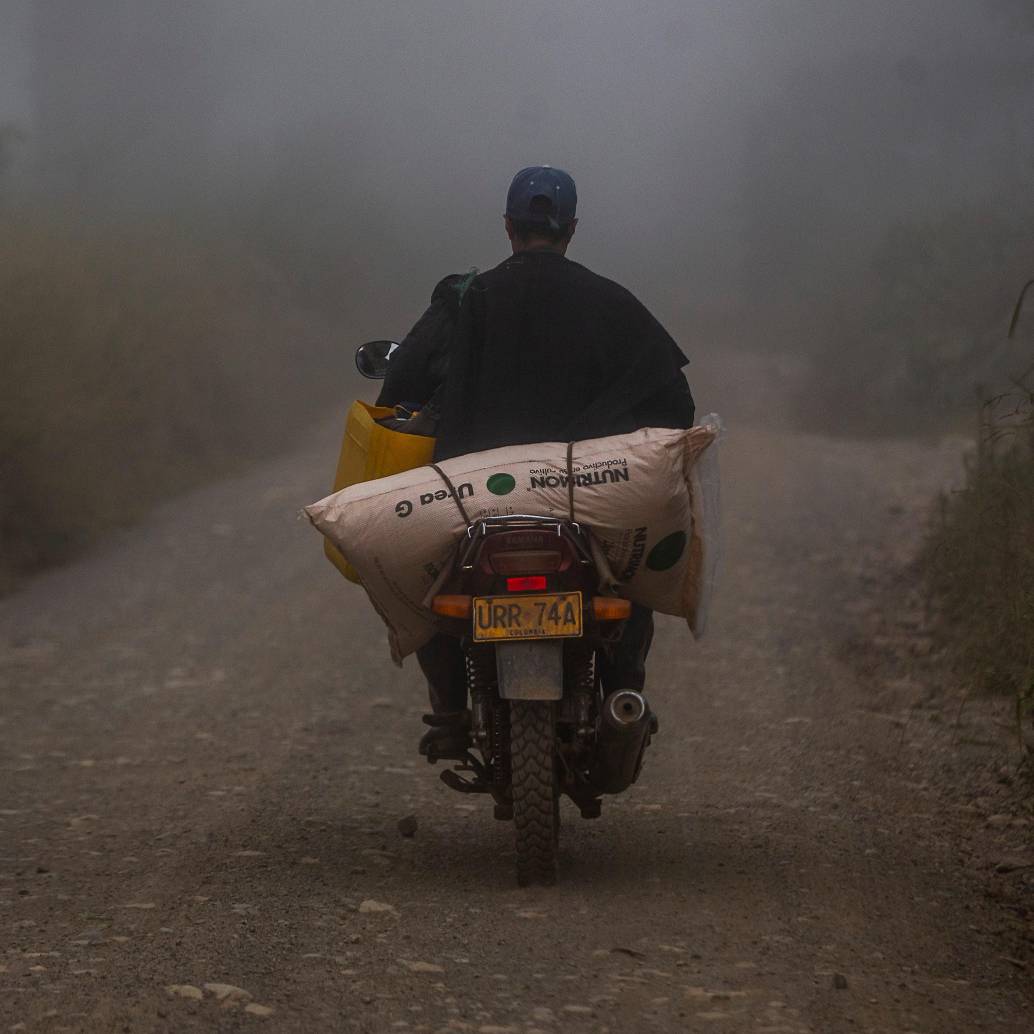 A pesar de las amenazas, Antioquia lidera las cifras de Reforma Agraria, según el Gobierno Nacional. FOTO: JULIO HERRERA