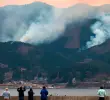 En algunos ecosistemas, los incendios naturales favorecen la regeneración del paisaje y permiten que especies únicas emerjan tras el fuego. FOTO AFP