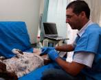Los costos de tener un perro no se limitan a la alimentación, ya que existen diferentes servicios especializados para esas mascotas. FOTO archivo
