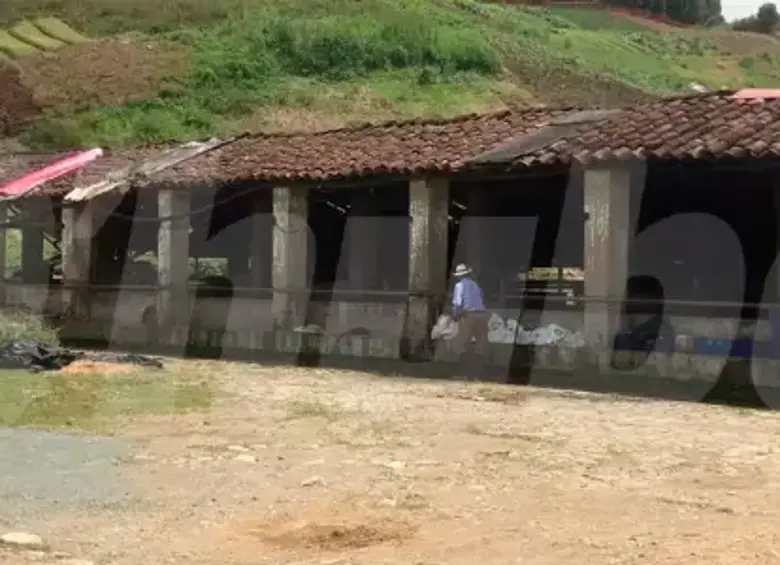 En Caldas: Óscar Aníbal buscó refugio en caballeriza pero murió