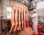 Hasta el momento, la carne se ha entregado siguiendo las cadenas de frío e higiene correspondientes. FOTO: Carlos Velásquez 