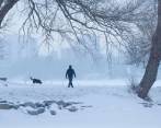 Según recogen los medios estadounidenses, las previsiones meteorológicas apuntan a que el temporal irá acompañado en las próximas horas de fuertes nevadas. FOTO AFP