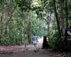 El Parque Nacional Natural Utría está ubicado en el Chocó y hace parte de las 64 áreas protegidas para la conservación de la biodiversidad. Protagonistas de la toma esperan acciones de la Ungrd. FOTO El Colombiano