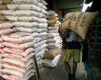 La desgravación arancelaria por la apertura del comercio de arroz con Estados Unidos ya no será efectiva a partir del 1 de enero de 2030. FOTO Julio César Herrera