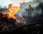 La selva de este país perdió 13.235 kilómetros cuadrados de cobertura vegetal desde el año pasado. Foto: EFE