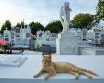 ¿Se le mide? Ir de paseo a conocer fantasmas