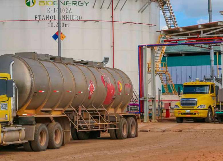 FOTO bioenergy.com.co