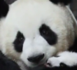 Al parecer, los hechos sucedieron en China. FOTO: Captura de pantalla