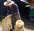 Uno de los campesinos de uno de los corregimientos de Medellín. FOTO: Cortesía.