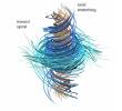 <p>Esta ilustración, publicada por OpenAI, representa el comportamiento de un fluido en torno al problema de Navier-Stokes: un flujo en espiral (<i>inward spiral</i>) que se contrae hacia el centro mientras se estira a lo largo de su eje vertical (<i>axial stretching</i>), el tipo de dinámica que la compañía asegura haber logrado modelar matemáticamente. Imagen: OpenAI</p><p> </p>
