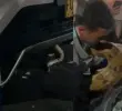 En su huida, el animal se escondió en un carro buscando calor. De allí fue rescatada sana y salva. FOTO: CORTESÍA