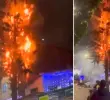 El incendio, además de acabar con el árbol, puso en riesgo varias casas. FOTO: Captura de video