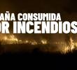 España en llamas: ejército desplegado contra incendios forestales que arrasan el país