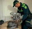 Hallaron 2.000 partes de motos robadas en enorme “deshuesadero”; así se mueve este ‘mercado’ en Medellín