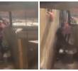 Las autoridades investigan si el agresor es el nieto de la víctima. Piden ayuda a la comunidad para identificarlo. Foto: Cortesía - tomada de redes sociales.