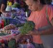 Los mercados campesinos buscan conectar a los productores y a los consumidores locales de los municipios con precios justos y alimentos saludables. FOTO: ALCALDÍA DE ENVIGADO