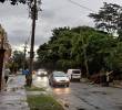En el sector La Mota el aguacero del viernes derribó un inmenso árbol, incluso desprendiendo su raíz del asfalto. Los senderos peatonales aún están obstaculizados. Foto: VÍCTOR A. ÁLVAREZ