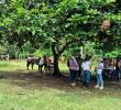 A las doce familias ya les permitieron el ingreso a su finca y han comenzado a hacer sus sembrados. FOTO: CORTESÍA FORJANDO FUTUROS